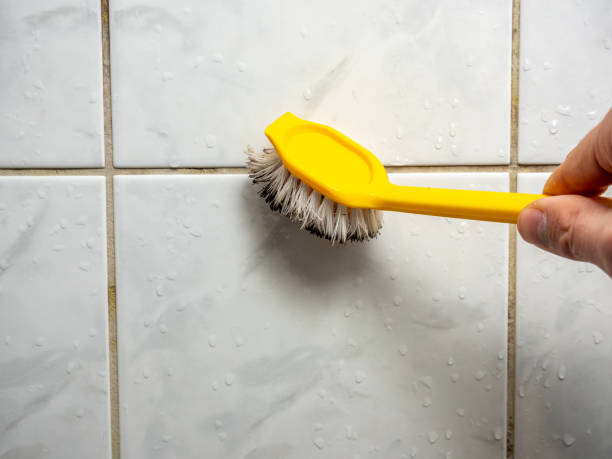 Best Mold Removal and Inspection  in Basile, LA